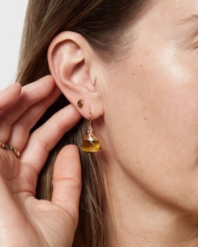 Crowned Tiger's Eye Hook Earrings