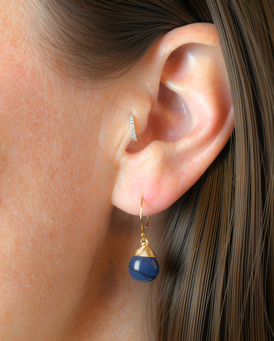 The Deep Crowned Hook Earrings