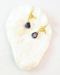 Nautical Naut Hook Earrings