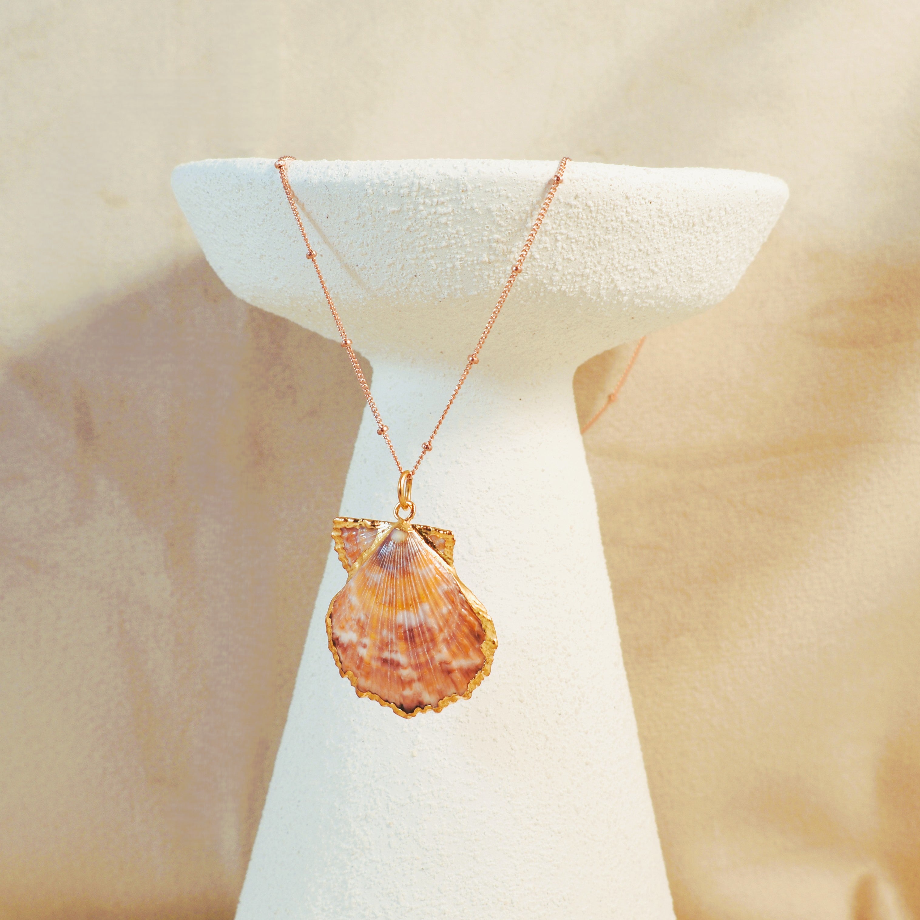 Scallop Shell Pendant Necklace