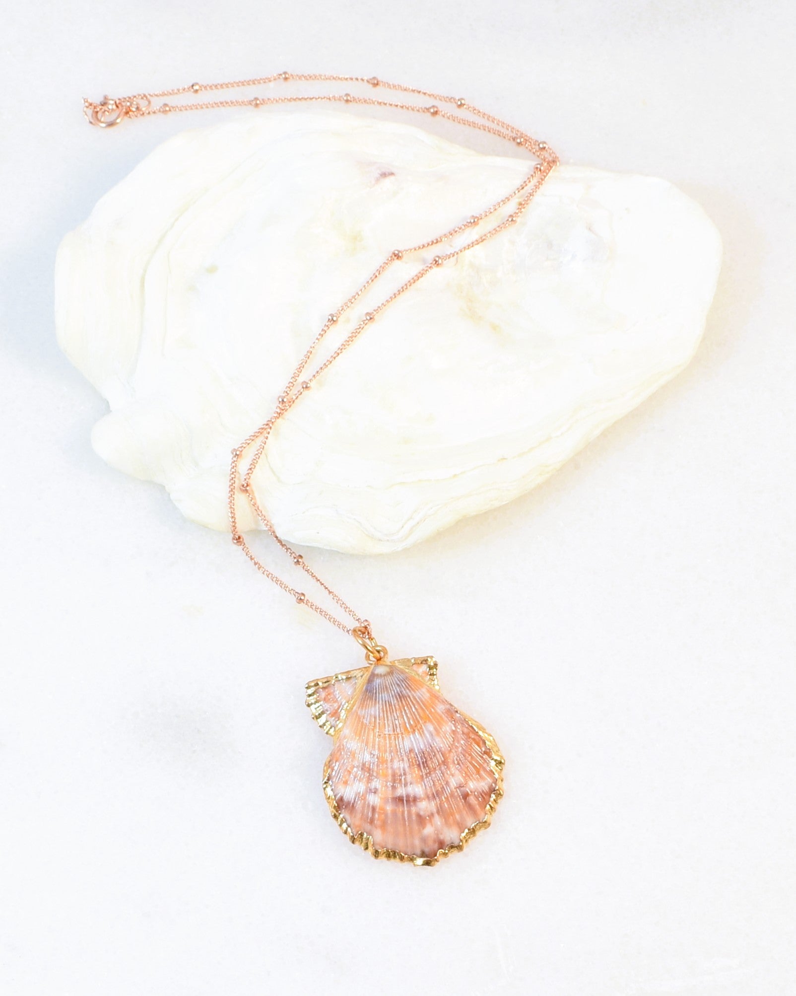 Scallop Shell Pendant Necklace