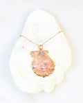 Scallop Shell Pendant Necklace