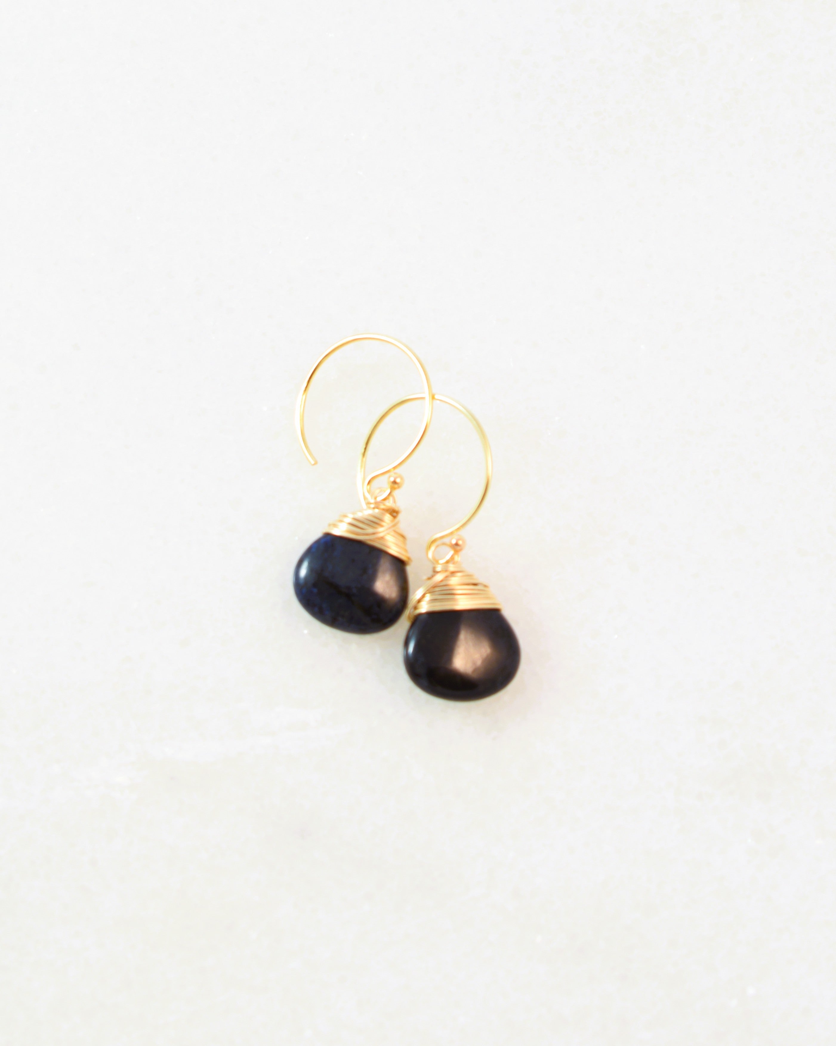 The Deep Crowned Hook Earrings